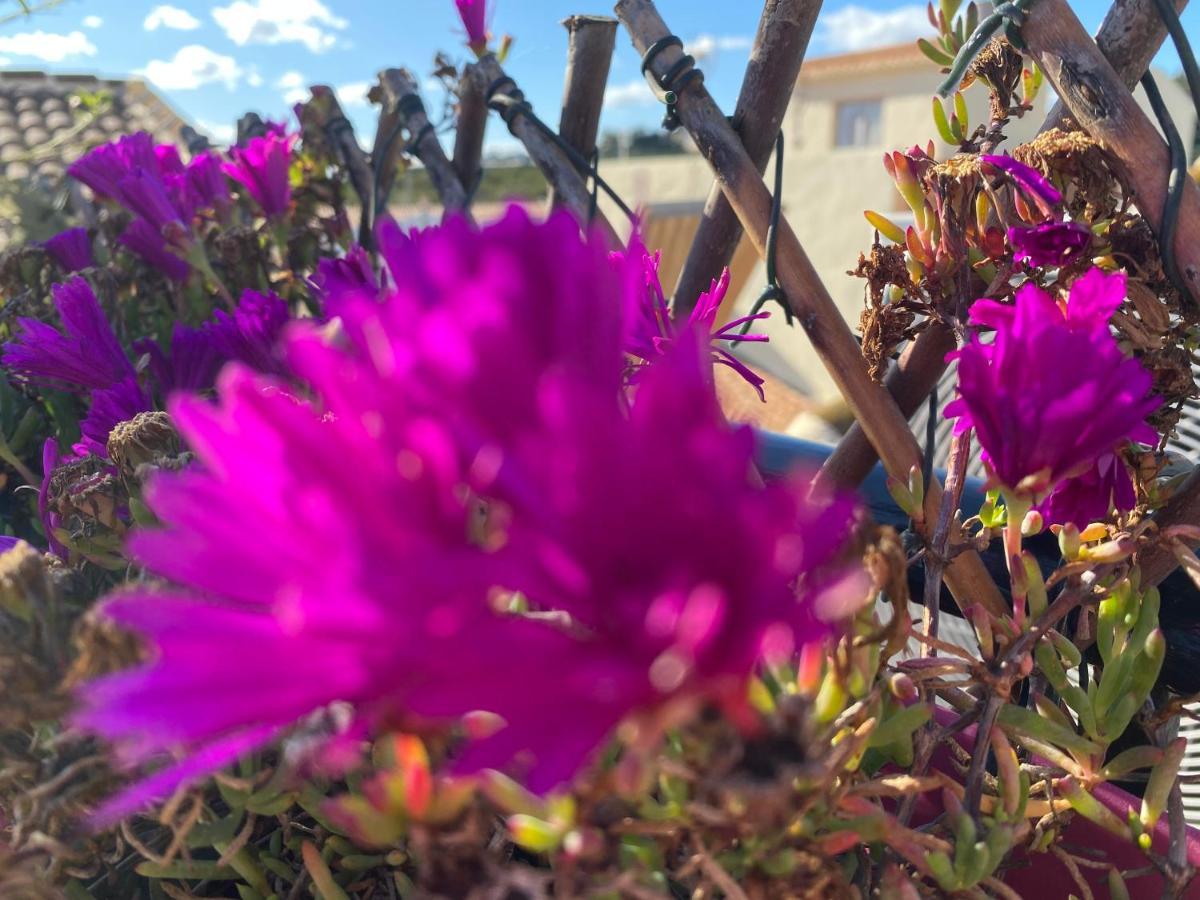 Sol Mediterraneo Algarrobo Costa Exterior photo